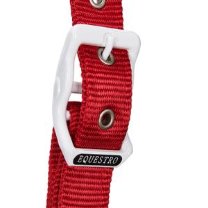 product/e/q/equestro_ca00512-navy_white_red_navy-white-red_4.jpg