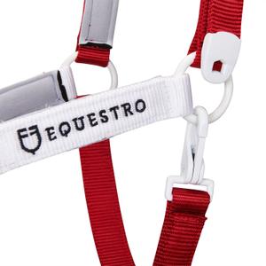 product/e/q/equestro_ca00512-navy_white_red_navy-white-red_5.jpg