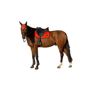 product/e/q/equick_8050247330004_orange_1.jpg