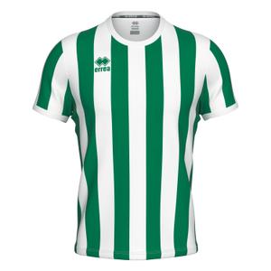 gm1b0c00900-maillot-errea-strip-vert-blanc