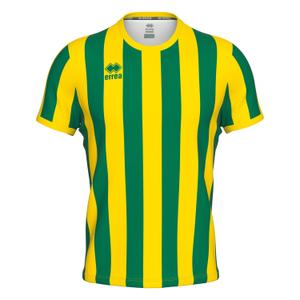 gm1b0c00920-maillot-errea-strip-vert-jaune