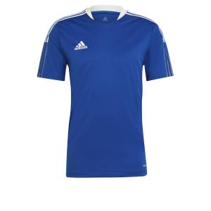 maillot-adidas-tiro-21-training-bleu-royal