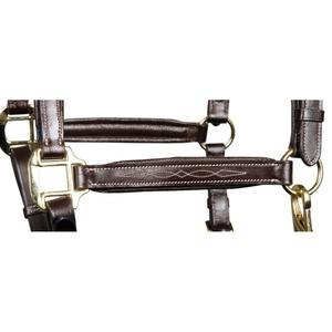 product/h/a/harry-s-horse_28500001-03_2_2.jpg