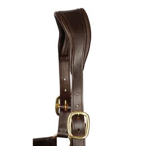 product/h/a/harry-s-horse_28500003-03_2_2.jpg