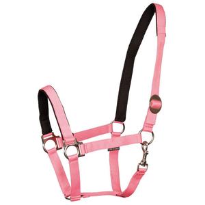 31000910-roze-licol-pour-cheval-rembourre-harry-s-horse-roze