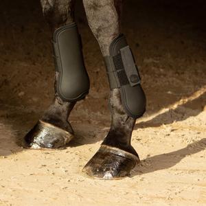 product/h/a/harry-s-horse_33200010-05_1.jpg