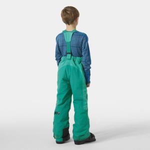 product/h/e/helly-hansen_41729-466_signal-green_4.jpg