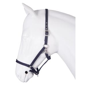 180195-6-licol-pour-cheval-base-horka-bleu