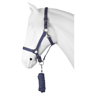 180214-6-ensemble-licol-pour-cheval-dime-horka-bleu