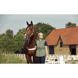 product/h/o/horseguard_500490014_2.jpg