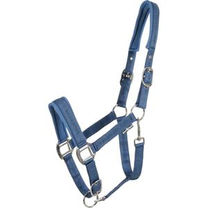 50439200121-licol-pour-poney-horseguard-diya-2-0-dutch-blue-poney