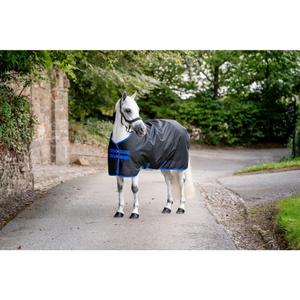 product/h/o/horseware_aarag4-kdd0-66_black-classic-blue_1.jpg