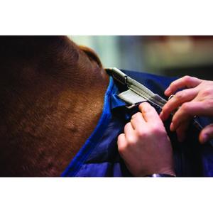 product/h/o/horseware_hwabad62na_mag3838009_8.jpg