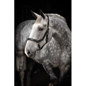 dhal8d-k000-licol-pour-cheval-horseware-rambo-micklem-black
