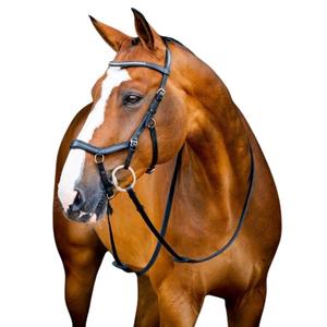 product/h/o/horseware_sbmrm0-k000_0.jpg