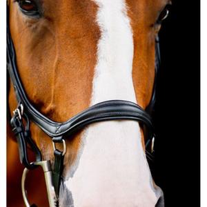 product/h/o/horseware_sbmrm0-k000_2.jpg