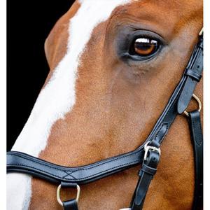 product/h/o/horseware_sbmrm0-k000_black_4.jpg