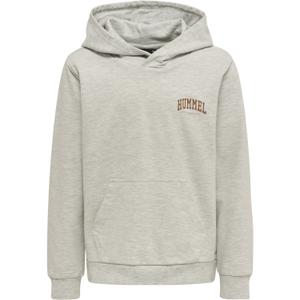 215861-2010-sweatshirt-a-capuche-enfant-hummel-fast-light-grey