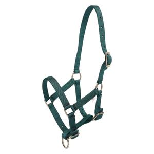 1601093700-6130-licol-pour-cheval-en-nylon-hv-polo-nena-duck-green