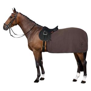 product/h/v/hv-polo_2404093453-8006_dark-taupe_1.jpg