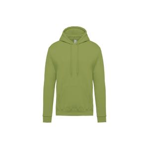 k476-pistachio-sweatshirt-a-capuche-kariban-pistachio