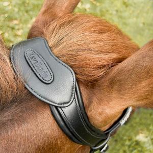 product/k/a/kavalkade_0207721150202_black-black_6.jpg