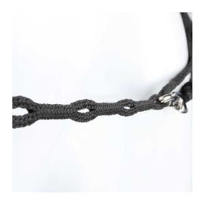 product/k/a/kavalkade_0264061350200_mag4385699_3.jpg