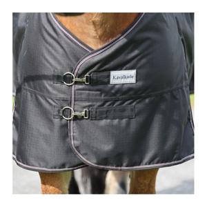 product/k/a/kavalkade_0462221450200_4.jpg