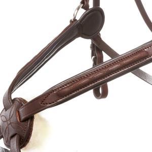 product/k/a/kavalkade_190821250300_3.jpg