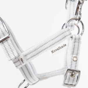 product/k/a/kavalkade_291060750113_1.jpg