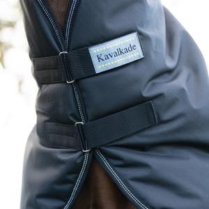 product/k/a/kavalkade_461401550200_1.jpg