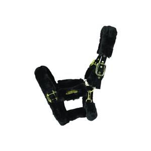 42502-01-licol-de-transport-mouton-kentucky-noir