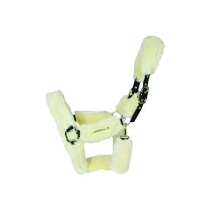 42502-02-licol-de-transport-mouton-kentucky-naturel
