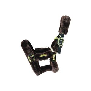 42502-05-licol-de-transport-mouton-kentucky-marron
