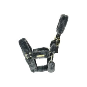 42502-08-licol-de-transport-mouton-kentucky-gris