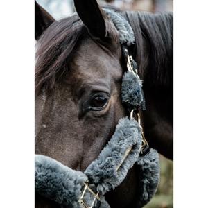 product/k/e/kentucky_42502-08_2.jpg