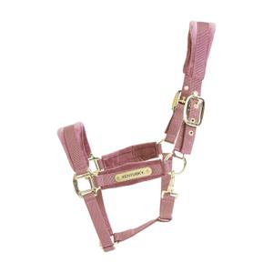 42558-10-licol-velvet-kentucky-rose