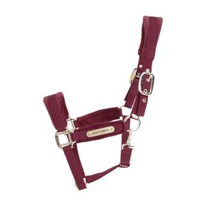 42558-17-licol-velvet-kentucky-bordeaux