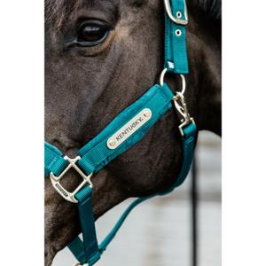 product/k/e/kentucky_42558-71_2.jpg