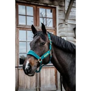 product/k/e/kentucky_42558-71_3.jpg