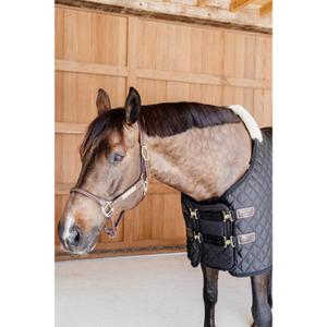 product/k/e/kentucky_52186-01_3.jpg