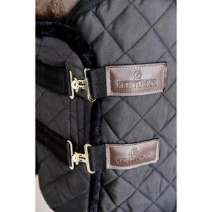 product/k/e/kentucky_52186-01_5.jpg