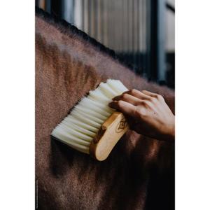 product/k/e/kentucky_82138-05_9.jpg