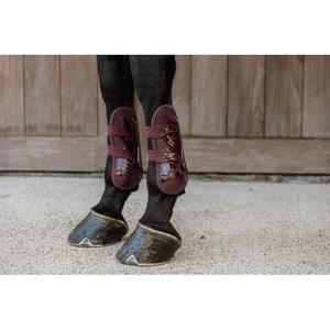 product/k/e/kentucky_88101-17-xs_1.jpg