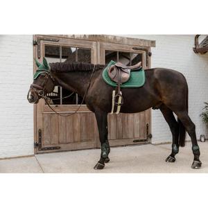 product/k/e/kentucky_88101-73-xs_6.jpg