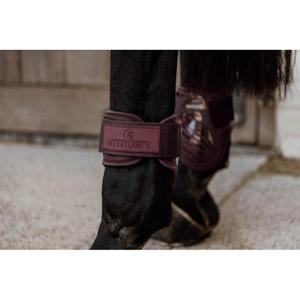 product/k/e/kentucky_88201-17-xs_3.jpg