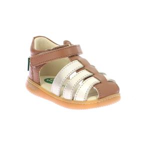 product/k/i/kickers_1217852-10-0-116_camel-or_1.jpg