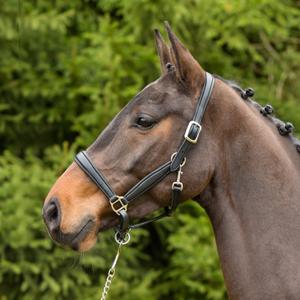 557-5198-licol-pour-cheval-en-cuir-kieffer-ultrasoft-r-black-black-lined