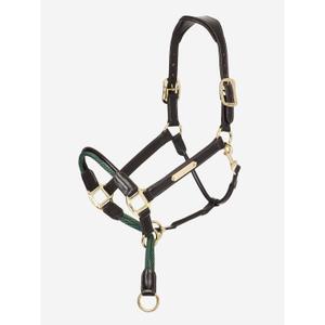 it03443-licol-pour-cheval-lemieux-rope-control-brown