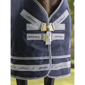 product/l/e/lemieux_it03827025_2.jpg
